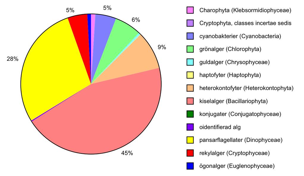 Figur 3. Växtplanktonbiomassans fördelning (%) på olika grupper i Närdingen under augusti 2016.