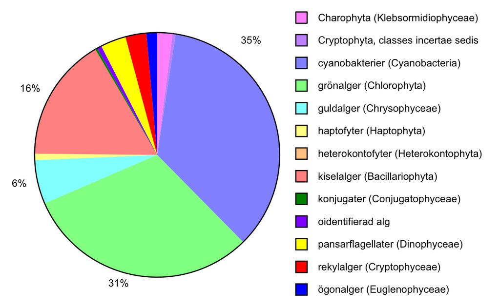 Figur 11. Växtplanktonbiomassans fördelning (%) på olika grupper i Syningen under augusti 2016. Vattenvegetation I sjön påträffades 23 arter av vattenvegetation, undantaget övervattensväxter.