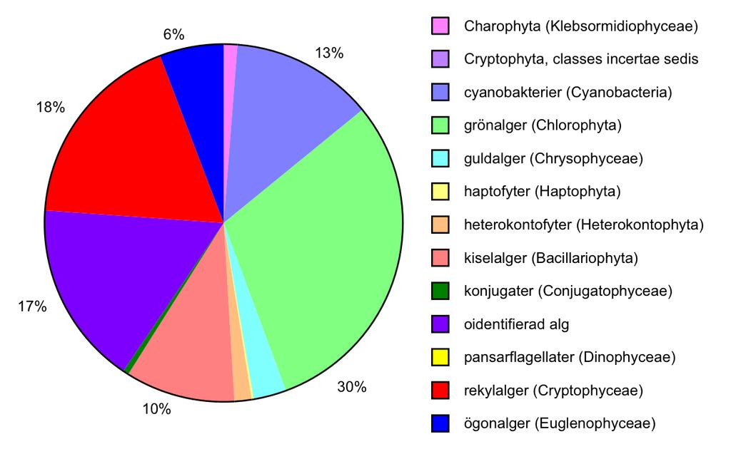Figur 12. Växtplanktonbiomassans fördelning (%) på olika grupper i Kundbysjön under augusti 2016. Vattenvegetation I sjön påträffades 19 arter av vattenvegetation, undantaget övervattensväxter.