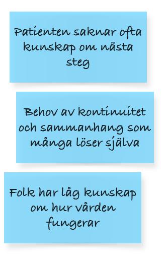 vårdmötet