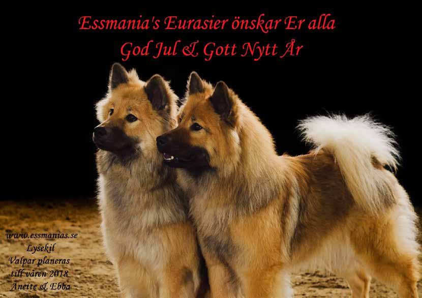 År Önskar Kennel