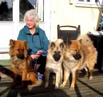 Fritiden spenderas med hundarna och vi hobbytränar lite agility och rallylydnad, men älskar också att gå långpromenader med vårat