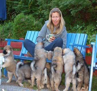 Jag har haft rasen sedan 2001. Mina första eurasier var två hanar sedan kom första tiken 2005.