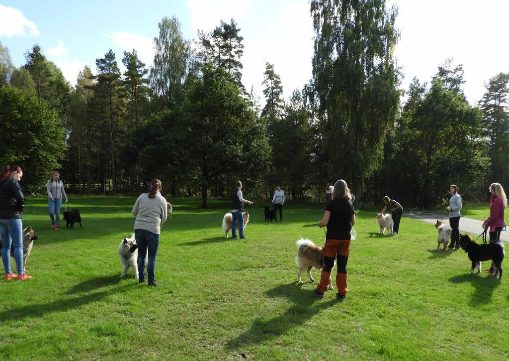 Efter Julias föreläsning så körde vi direkt vidare med ringträning, ja det är minsann ingen semester att vara på
