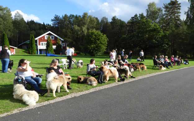 hade det inte varit för er alla så hade denna helgen inte blivit den succé som vi tror att det återigen blev!