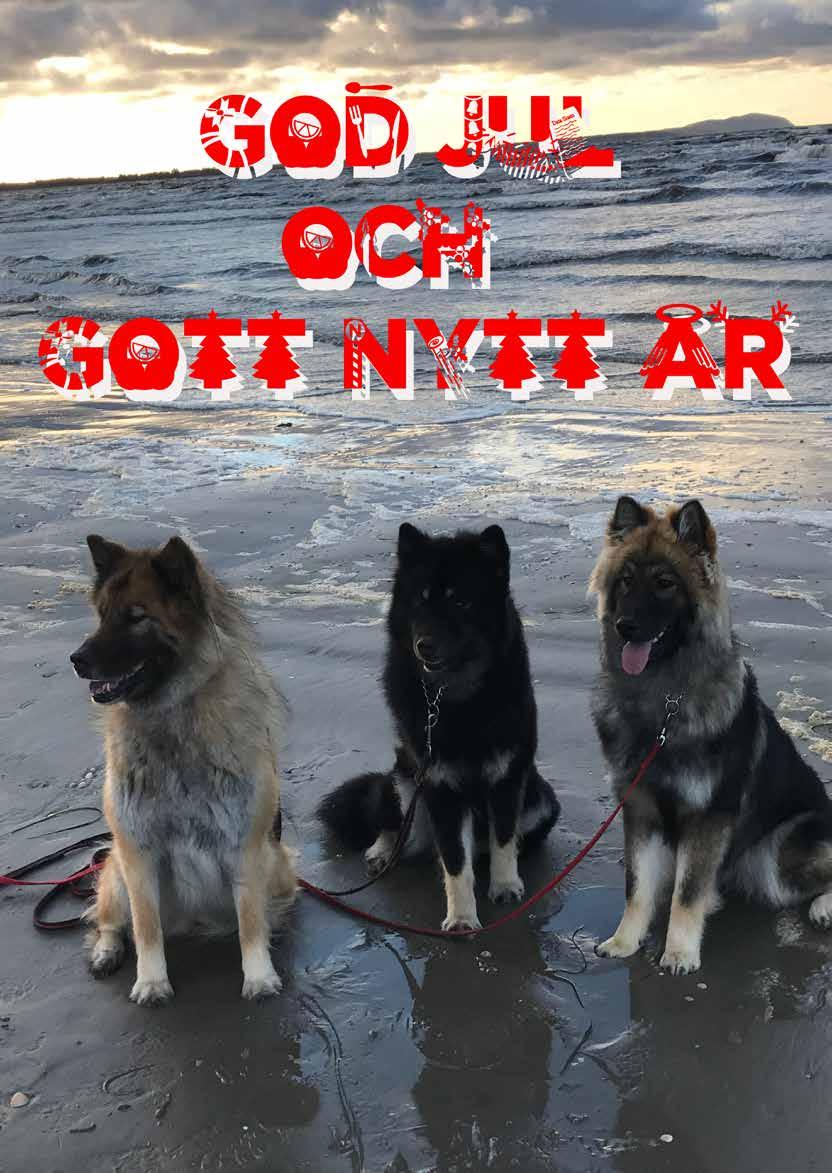 ÖNSKAR CORYANA S KENNEL ALLA
