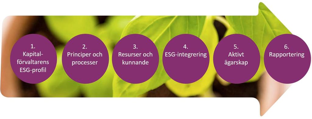 6 Val och uppföljning av kapitalförvaltare Processen för att välja kapitalförvaltare är ett kritiskt skede inom ansvarsfull placering.