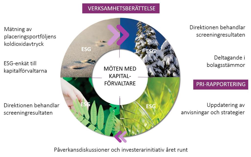 8 Rapportering Kyrkans pensionsfond redogör för resultaten av den ansvarsfulla placeringsverksamheten i sin årliga verksamhetsberättelse.