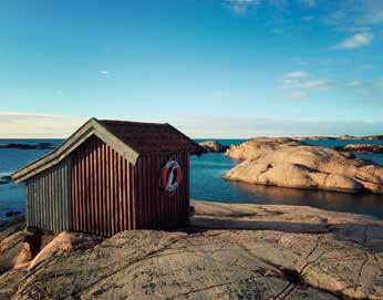 Varmt välkomna till BFA:s årliga sommarträff