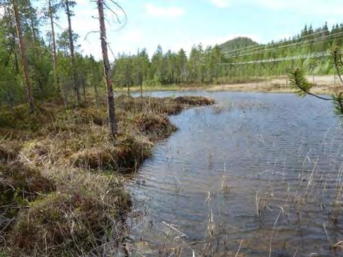 10 5.1 Landskapsbild Delar av det område som kommer att tas i anspråk för de nya stolparna ingår i ett redan för befintliga ledningar påverkat område.