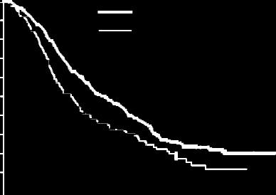 JMEN: Kaplan Meier diagram av progressionsfri överlevnadstid (PFS) och total överlevnadstid (OS) av pemetrexed i jämförelse med placebo hos patienter med icke-småcellig lungcancer av annan histologi