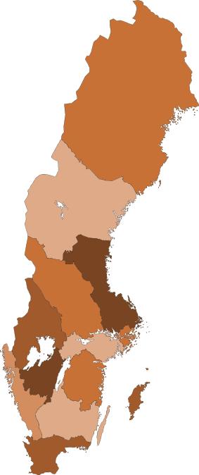 Ansvar per nivå Pastorat och församlingar Pastorat eller församlingar som inte ingår i pastorat, upprättar och ajourhåller lokalförsörjningsplanerna Stiften Stiften erbjuder regionalt tillhandahållet