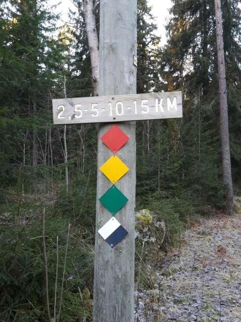 Styrgruppen 1