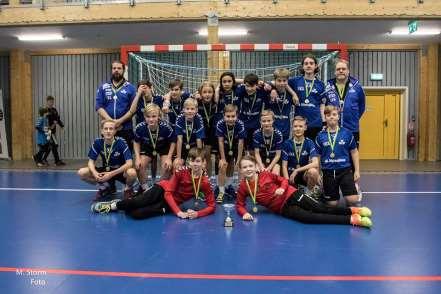 könen visar att Småland-Blekinge handbollförbund är relativt jämställda vad gäller lag.