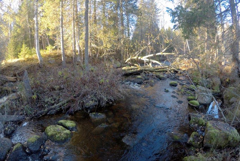 3 3 Delsträcka fyra i nedre delen av Rännöån är rensad