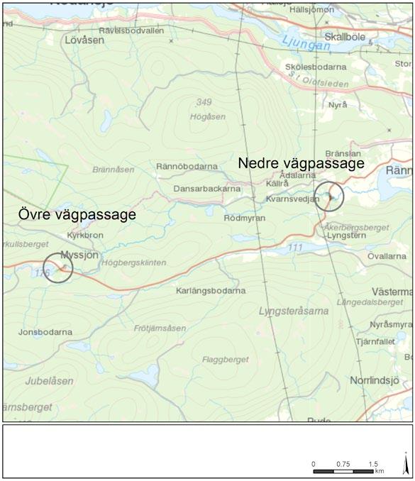 2 selvatten längs Ljungan som ur ett nationellt och internationellt perspektiv är unikt, med avseende på