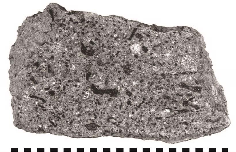 Fig 6. Suevit från Ries kratern i Tyskland. Stuffen har ett fint klastiskt matrix med mörka och ljusa inklusioner. De mörka inklusionerna är glas och de ljusa inklusionerna är bergartsfragment.