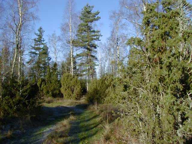 24 Skeastan Fagersannas karaktär av villa- och fritidshusområde ska bevaras. Områden inom tätorten som har höga naturvärden ska bevaras och förstärkas.