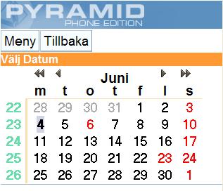 3.3. Öppna kalendern för Månad Kommandot Månad visar kalendern för hela månaden, med helgdagar markerade som röda kalenderdagar. De dagar som har bokningar i kalendern visas med fetstil.