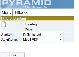 Dokument Skriv ut blanketter tillhörande ordern genom att välja blankett och utskriftstyp.