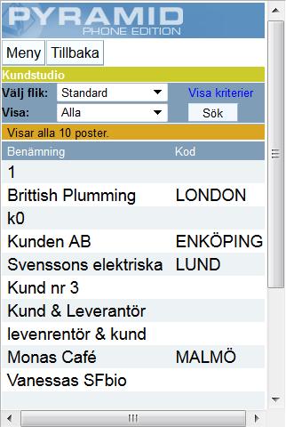 Studio - Kunder I Kundstudion kan du söka fram kunder som matchar angivna sökvillkor enligt vald flik.