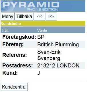 BEGRÄNSA SÖKVILLKOR Sökkriterierna varierar beroende på vilken flik du valt. Respektive flik visar de sökkriterier som angetts på fliken i Pyramid.