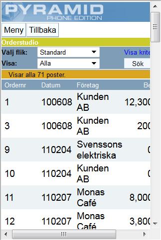 Studio - Order I Orderstudion kan du se de order och tillhörande orderrader som matchar angivna sökvillkor enligt vald flik.