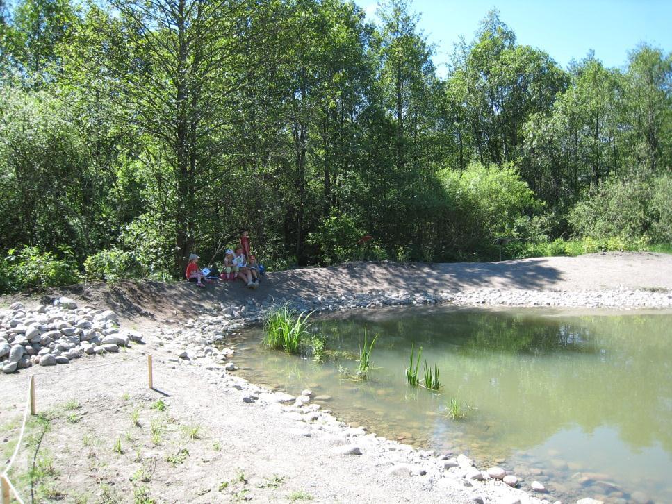 Sida 5 (9) Salamanderdammen i Judarn Under åren 2012 och 2013 har förvaltningen ansökt om och beviljats 1,3 mnkr för förstärkning av skötseln av naturreservaten. Medlen har använts till bl.