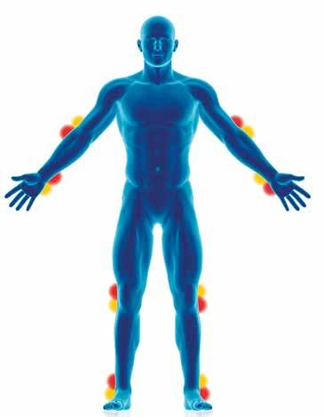 1. / Hur kan en led användas till både flexion