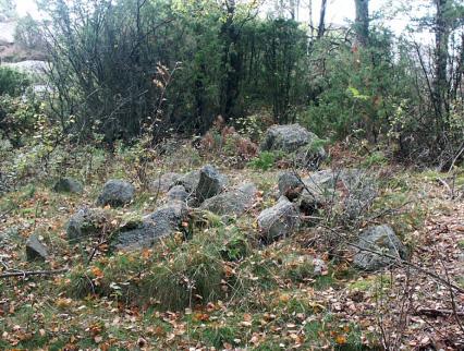 bergssluttning Björkdunge