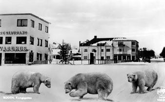 Dessa blev förstås populära och soldaterna skickade med förkärlek sina hälsningar hem med just dessa motiv.