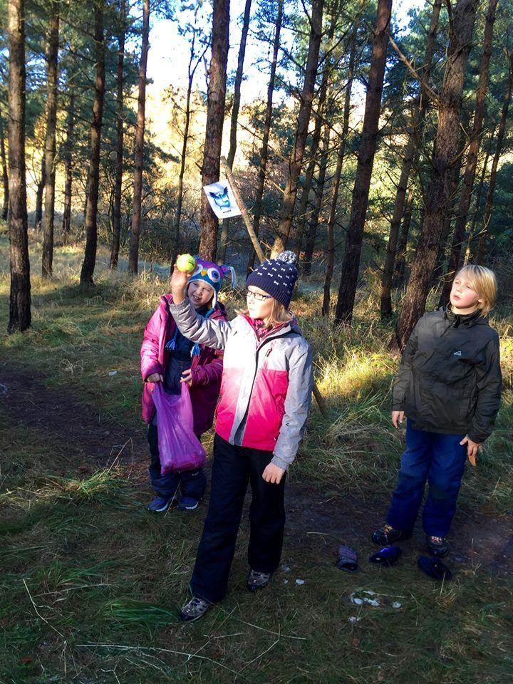 Spårarscouterna Slemmisarna 8-10 år Under året 2017 har Slemmisarna växt till ungefär dubbla storleken och haft många nya äventyr. Vi har åkt på två Grönbyläger med Insekterna.