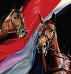 CANARSIE* (FI) Henna Halme (Hei Ve) 20:1 s år - Muscle Massive - Candy Kiss - Uno di Jesolo 1,1ak 1.