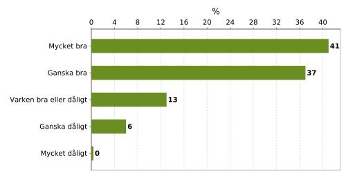 7. Allmänt sett, vilket är ditt omdöme om PM1- och PM2-träffarna?