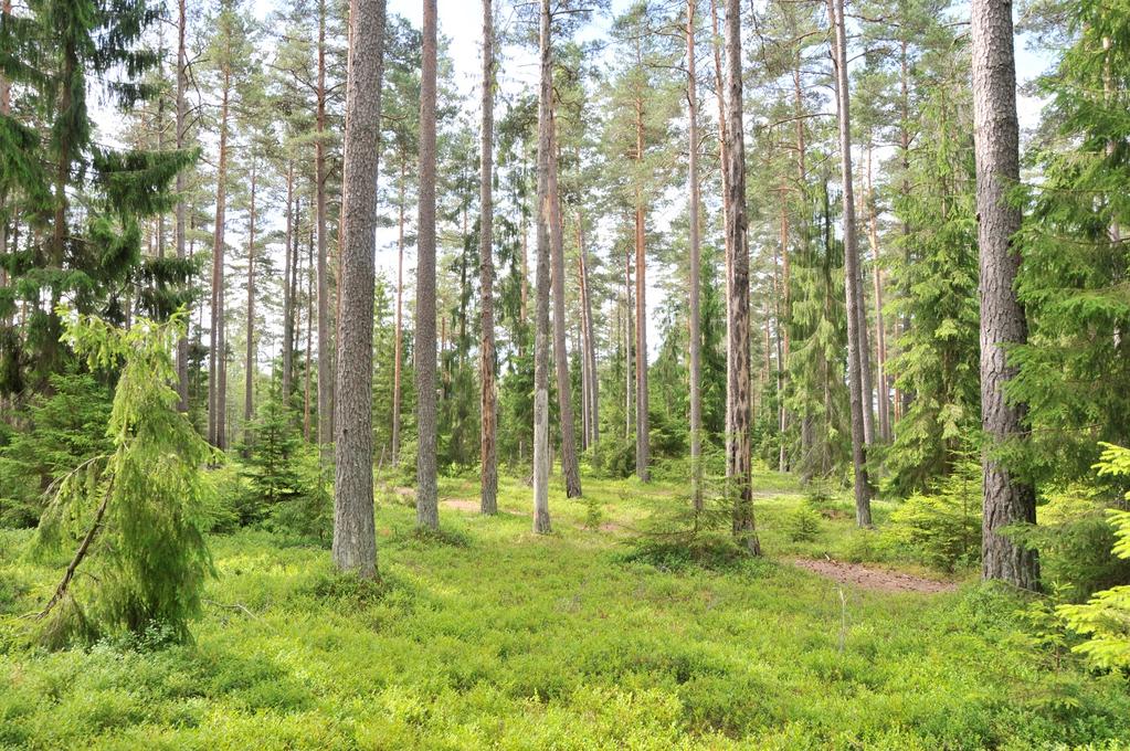 Botkyrka kommun Underlag till detaljplan, Ensta 1:65