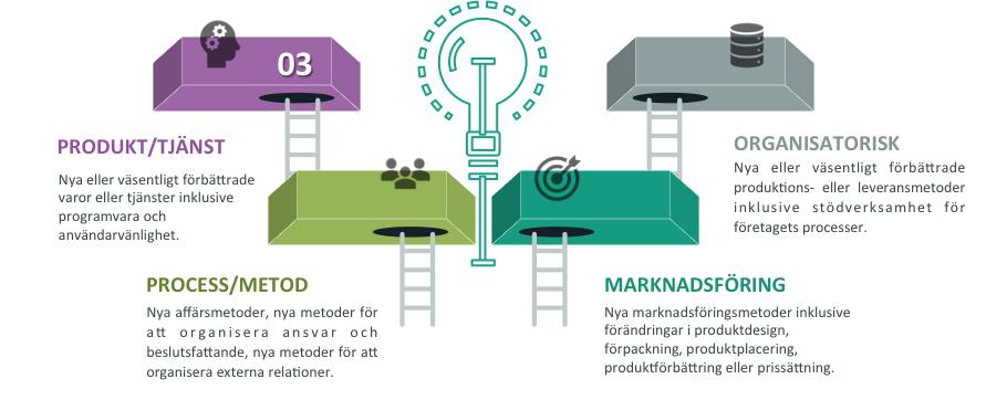 3.2 Innovationstyper Vad omfattar fallstudierna för typer av innovationer?