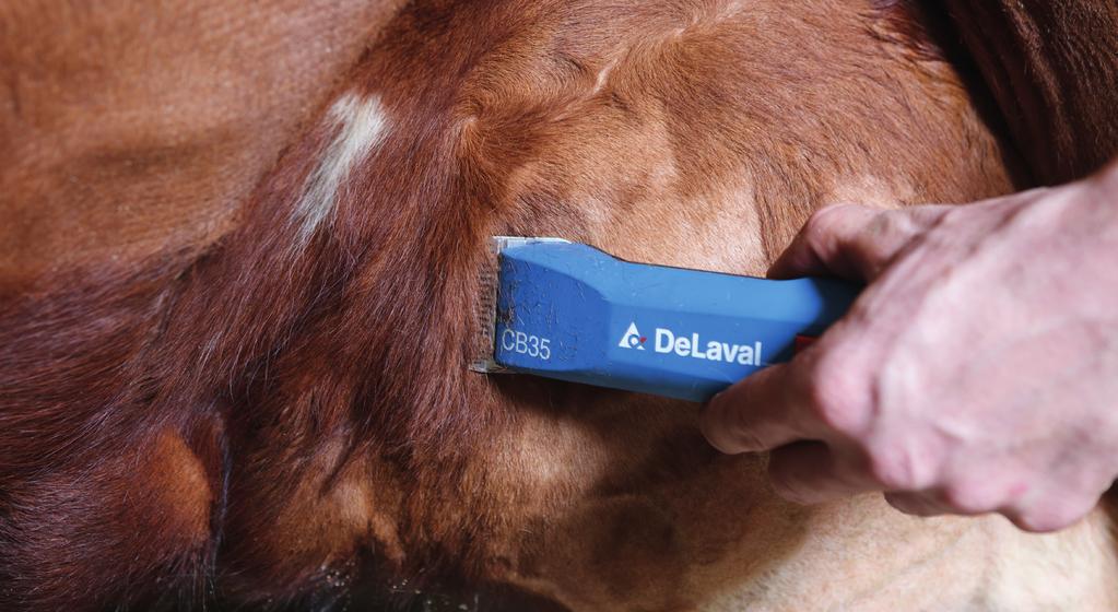 DeLaval nätdriven trimmer CB35 Art nr 94247124 3:88 CB35, nätdriven trimmer DeLaval nätdriven trimmer CB35 är en liten smidig klipper för bl a klippning av juver, trimning av hästar eller husdjur.