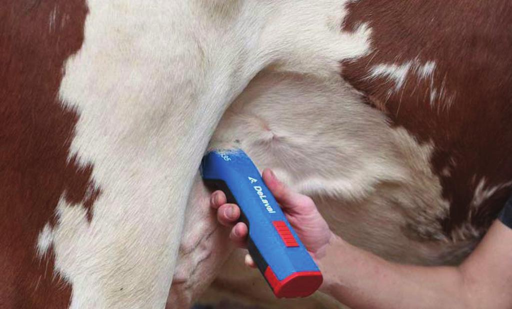 DeLaval batteridriven trimmer CB35 Art nr 94247100 3:87 CB35, batteridriven trimmer DeLaval batteriklipper CB35 är en liten smidig klipper för bl a klippning av juver, trimning av hästar eller