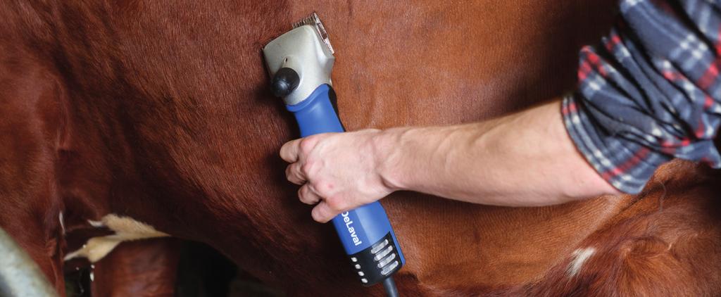 3:76 DeLaval elklipper C2 för nöt och häst Art nr 86581201 Elklipper C2 Välklippta djur är renare jämfört med djur med långt hår. Beskrivning Renare djur innebär bättre hygien och friskare djur.