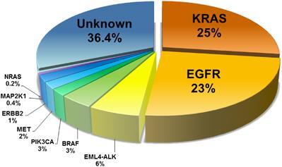 Lungcancer >35 olika