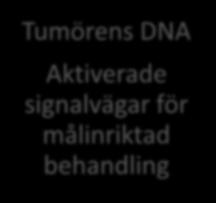 Tumörens DNA