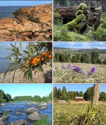 Uppsala län - variationsrik natur med goda förutsättningar för en mångfald av arter.