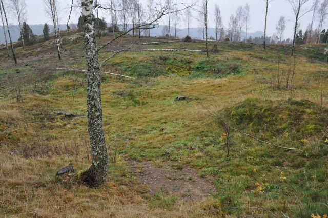 Delområde K Delområdet består av ett stort kalavverkat berg. I områdets slänter finns det rikligt med kala klippor med homogena växtsamhällen av mossa.