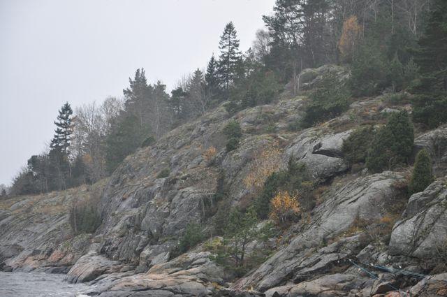 Området sett från Gullmarn. Området sluttar ned i Gullmarn och går från rik ädellövskog till kala klippor utmed stranden.