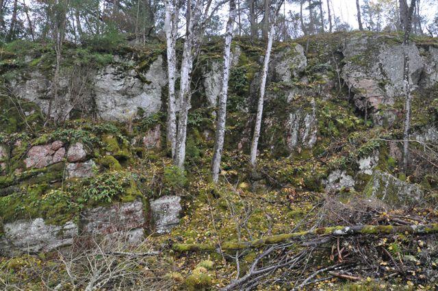 Delområde D Delområdet utgörs främst av en ostörd klippa vars krön övergår till ett hygge som angränsar mot en ridå av träd. På klippan växer bland annat sidenmossa (sp), vanlig bergklomossa m.fl.