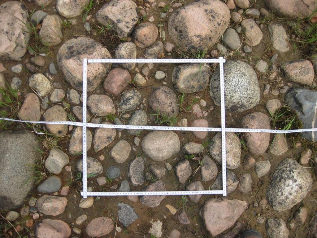 Artinventering En mer noggrann kartering av förekommande arter har också gjorts. På landdelen längs varje stråk lades 10 rutor ut på vardera 50 x 50 cm.