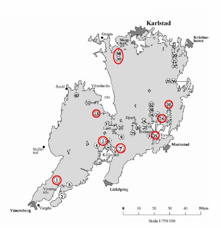 Metod Samma stränder inventerades 2011 som under 2010. Urvalet av stränder baserades på strändernas lutning. De 26 stråk som valdes ut har alla låg lutningsgrad, dvs de är flacka.