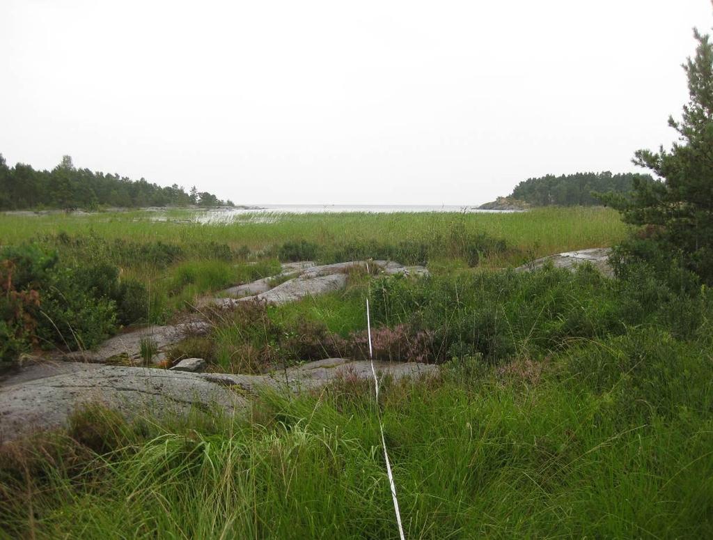 Inventering Undersökningen har gått till på samma sätt som vid de senaste strandinventeringarna 2011 och 2010, enligt den metod som först utarbetades 2000 och som sedan har utvecklats 2003 samt 2009.