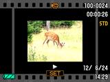 Visning av stillbilder och filmer Visning av stillbilder Vi hänvisar till sidan 28 angående tillvägagångssätt för visning av stillbilder. Visning av en film 1.