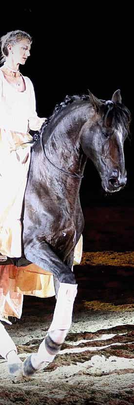 Alizée Froment och Mistral kommer till Sweden International Horse Show för Mistrals sista uppträdande.